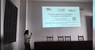 Investigadores de la UAT presentan proyectos científicos en congreso de ecología en Chiapas